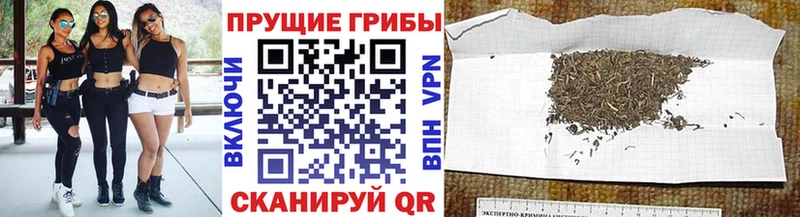 Псилоцибиновые грибы GOLDEN TEACHER Дмитровск