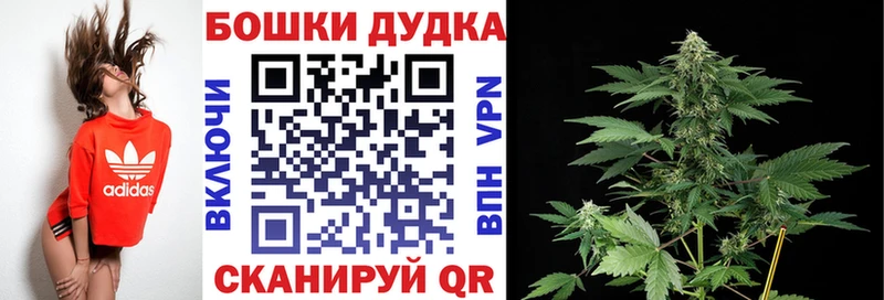Шишки марихуана OG Kush  Дмитровск 